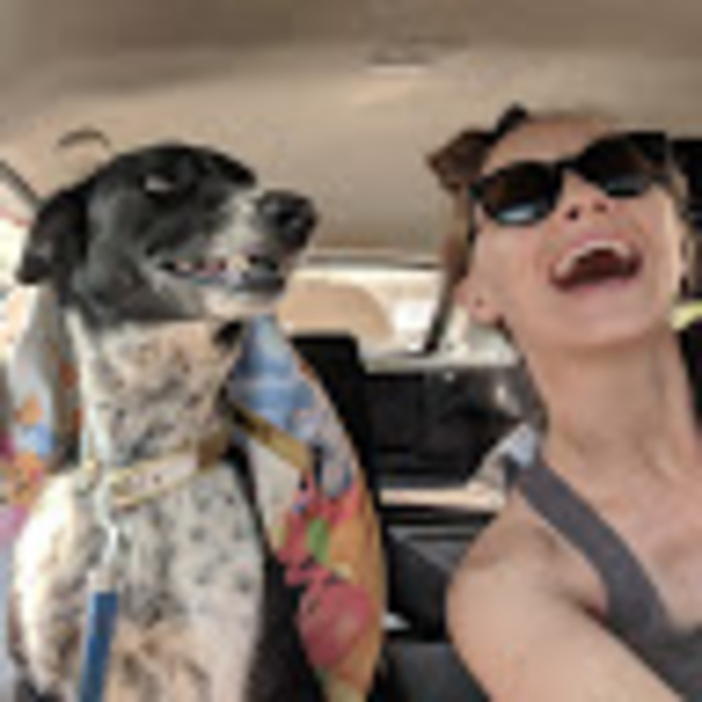 Meet your Posher, Kari